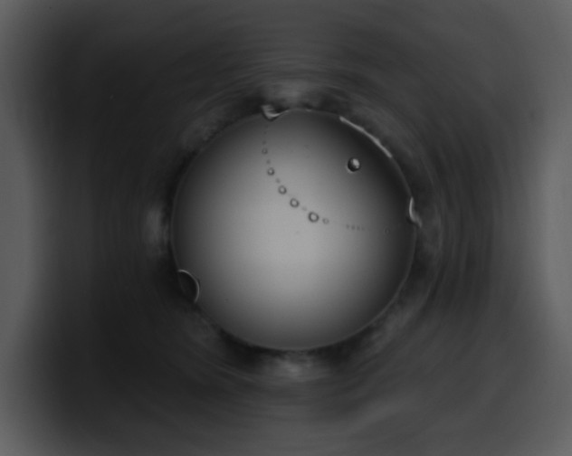 X0000100410420200806061346