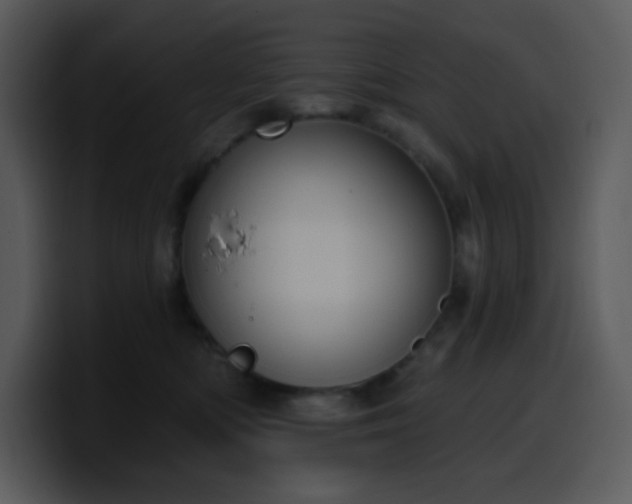 X0000100410422200806061346