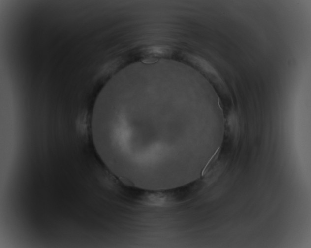 X0000100410423200806061346