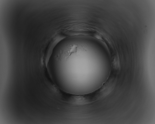 X0000100410424200806061346