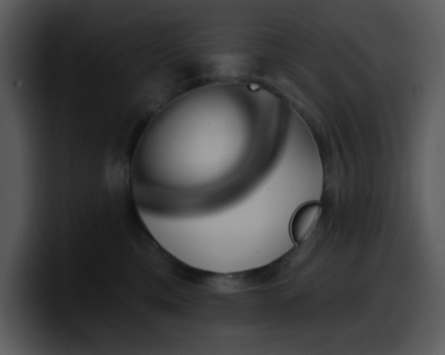 X0000100410425200806061346