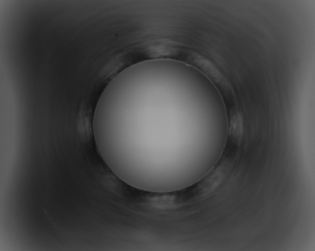 X0000100410426200806061346