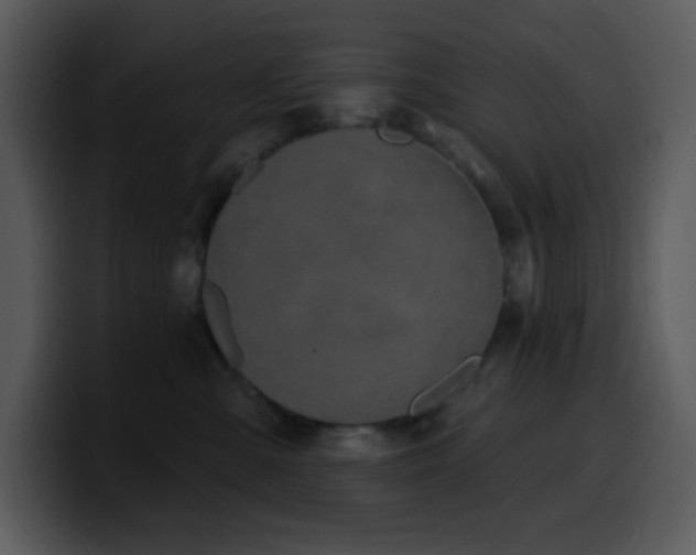 X0000100410427200806061345