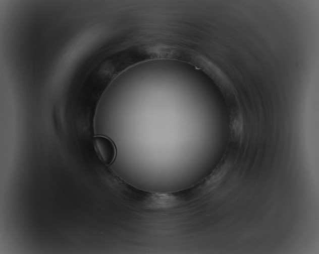 X0000100410429200806061345