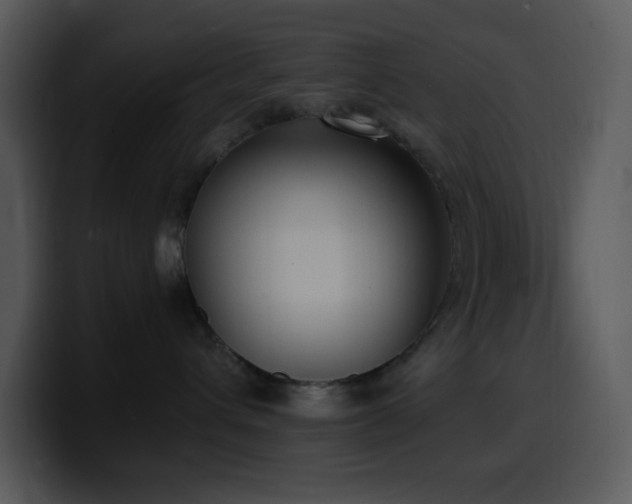 X0000100410432200806061345