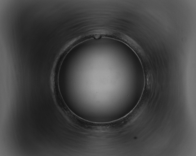 X0000100410436200806061345