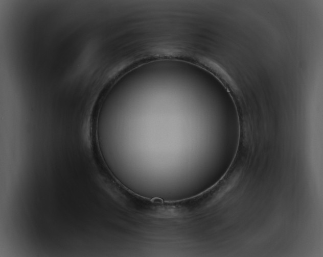 X0000100410439200806061345