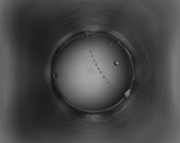 X0000100410440200806061345