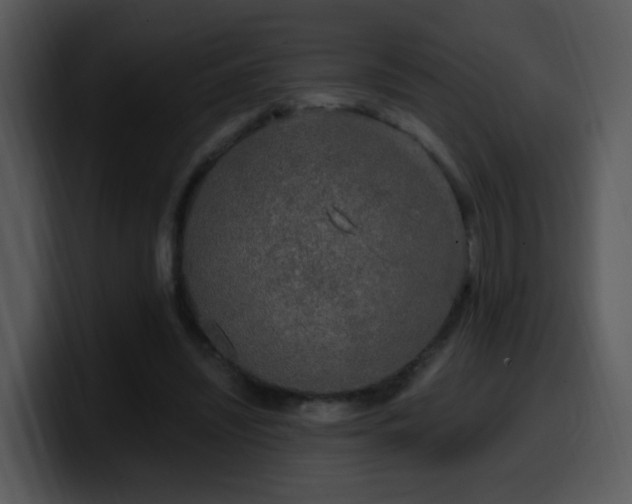 X0000100410444200806061345