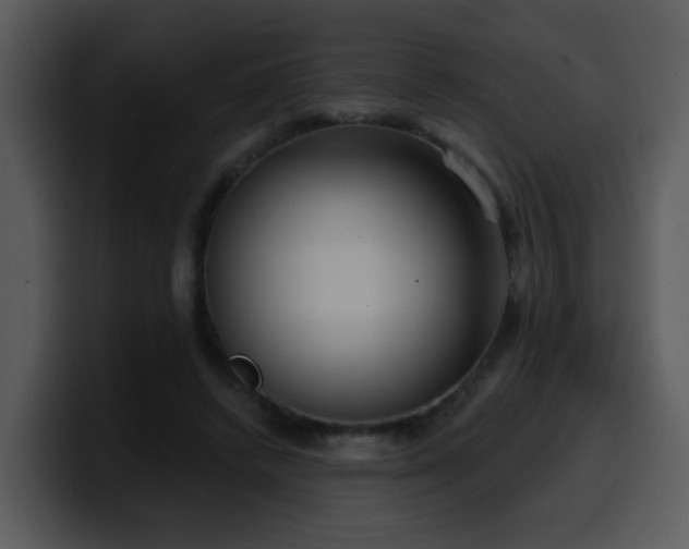 X0000100410448200806061345