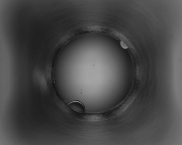 X0000100410449200806061345