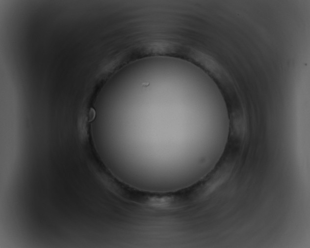 X0000100410450200806061345