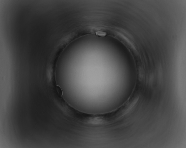 X0000100410451200806061345