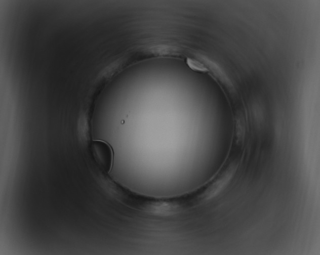 X0000100410453200806061345