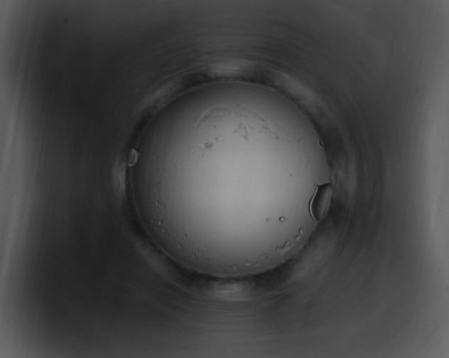 X0000100410454200806061345