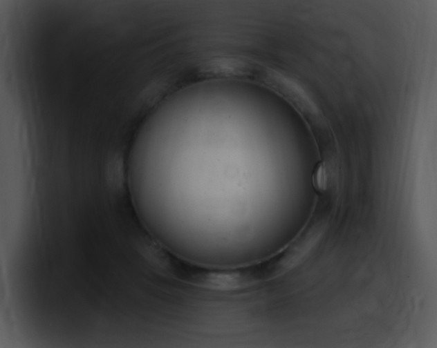 X0000100410457200806061345