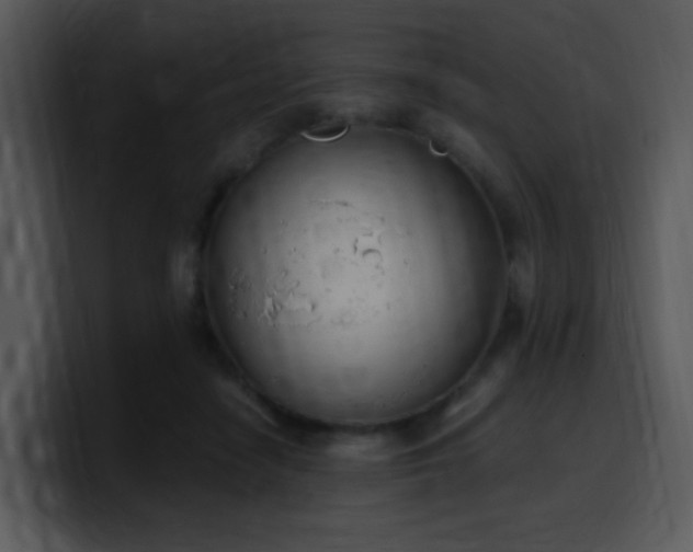 X0000100410458200806061345