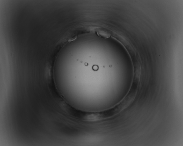 X0000100410461200806061345