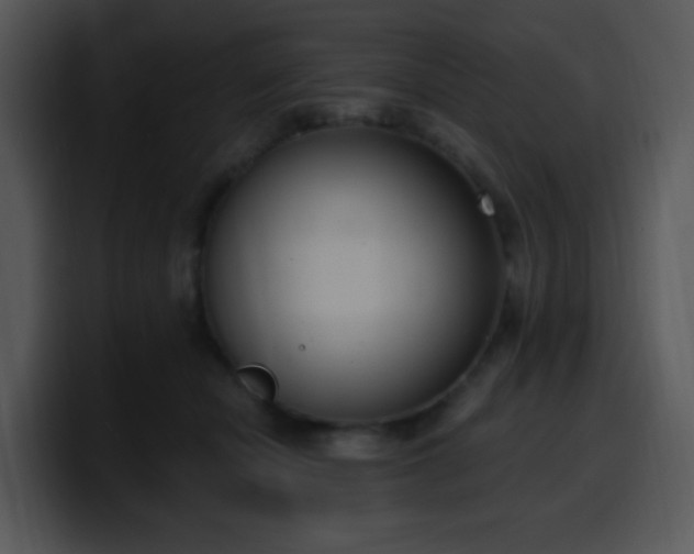 X0000100410462200806061345