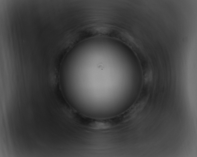 X0000100410464200806061345