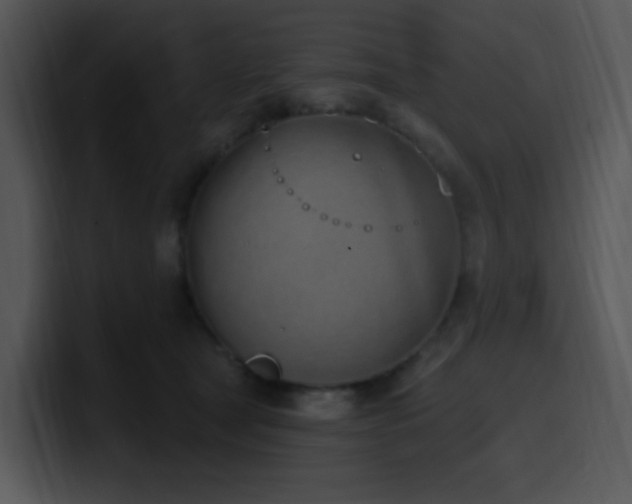 X0000100410465200806061345