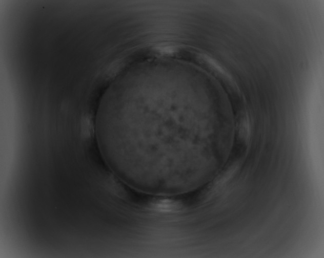 X0000100410467200806061345