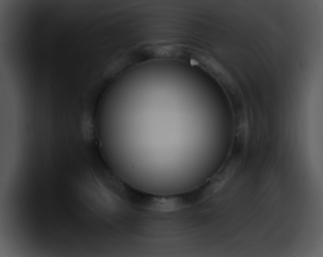 X0000100410469200806061345