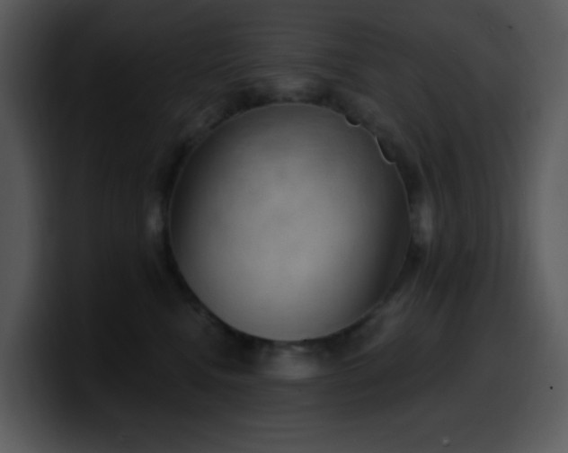 X0000100410472200806061345