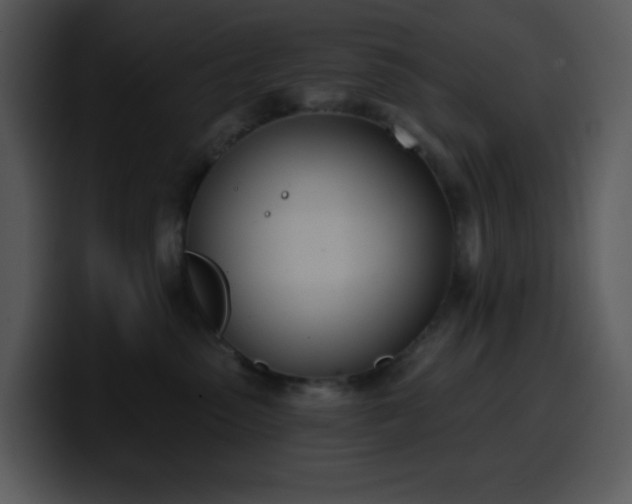 X0000100410475200806061345