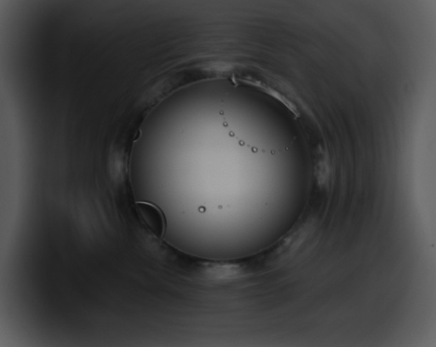 X0000100410476200806061345