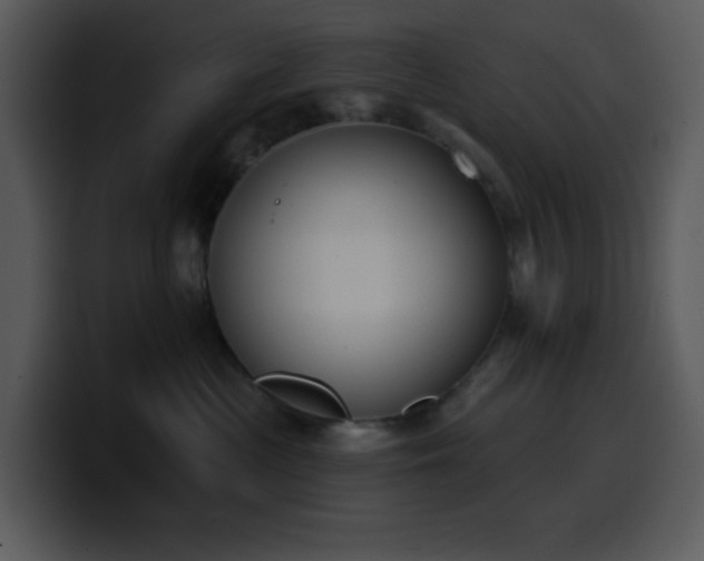 X0000100410477200806061345