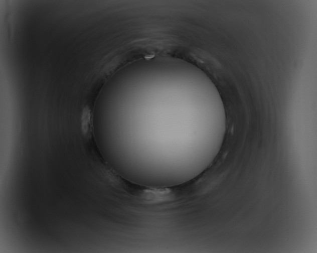 X0000100410480200806061345