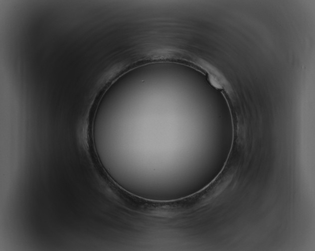 X0000100410485200806061345