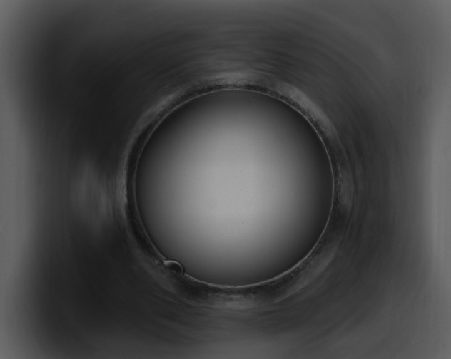 X0000100410486200806061345