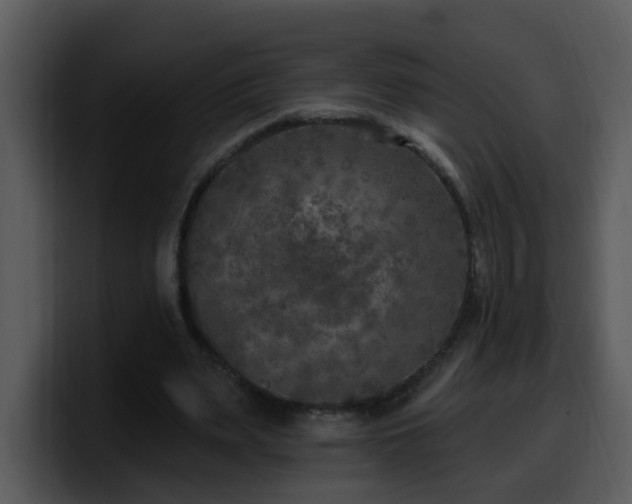 X0000100410487200806061345