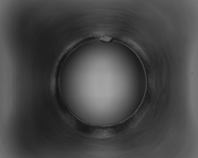 X0000100410488200806061345