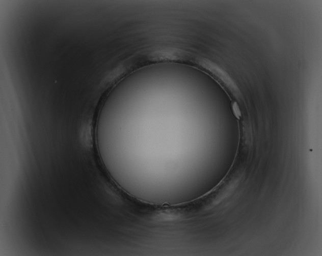 X0000100410489200806061345