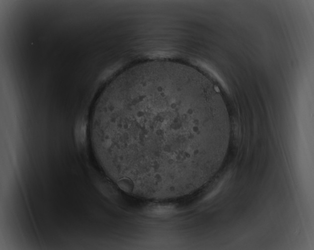 X0000100410491200806061345