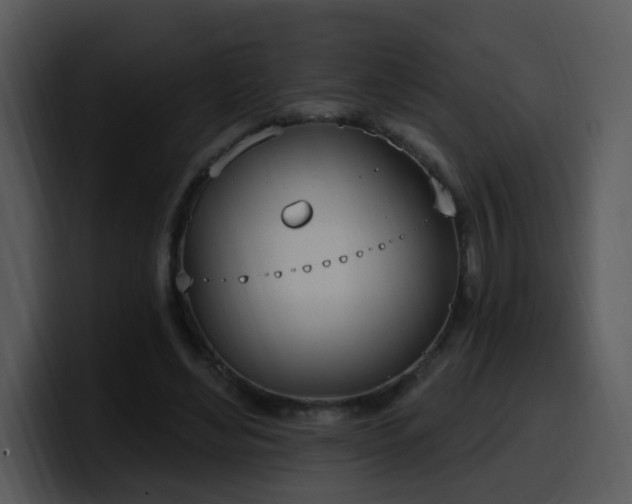 X0000100410492200806061345