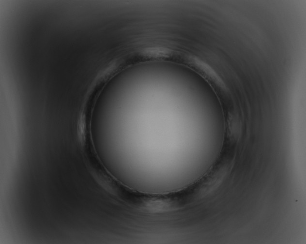 X0000100410494200806061345