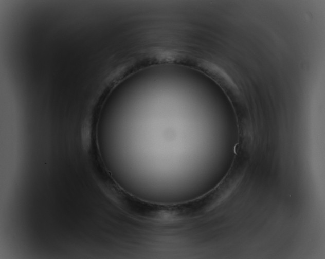 X0000100410496200806061345