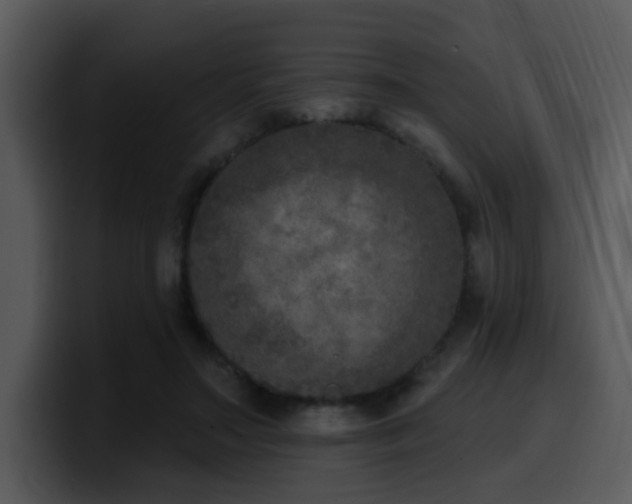 X0000100410499200806061345