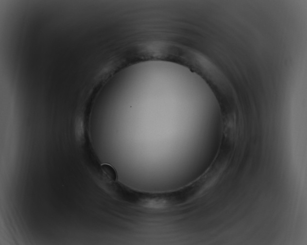 X0000100410500200806061345