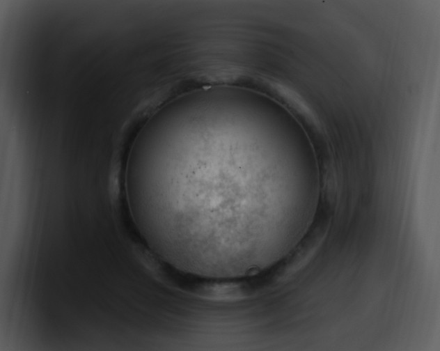 X0000100410501200806061345