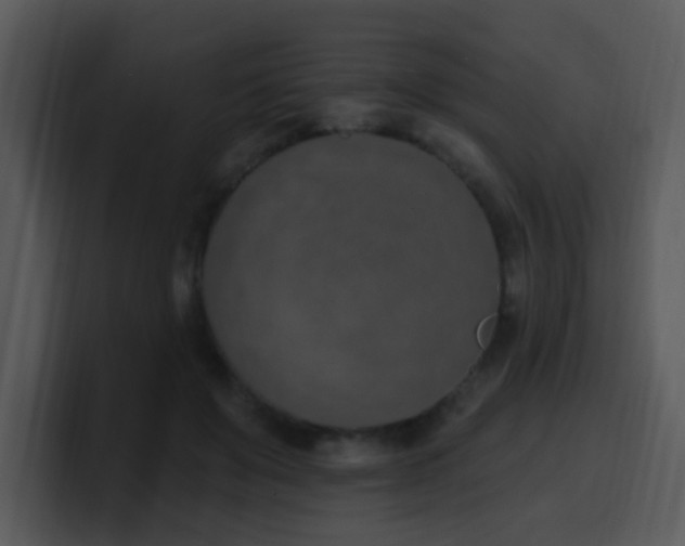 X0000100410503200806061345