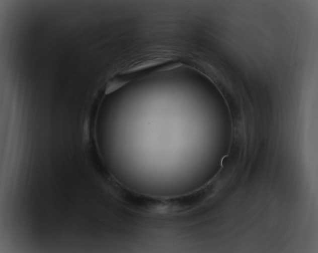 X0000100410504200806061344