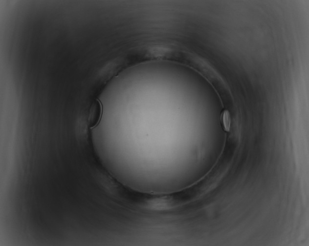 X0000100410505200806061344