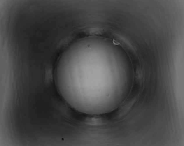 X0000100410506200806061344