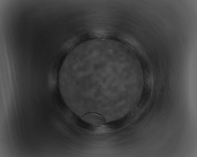 X0000100410507200806061344