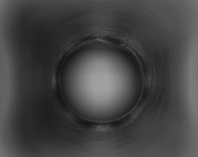 X0000100410508200806061344